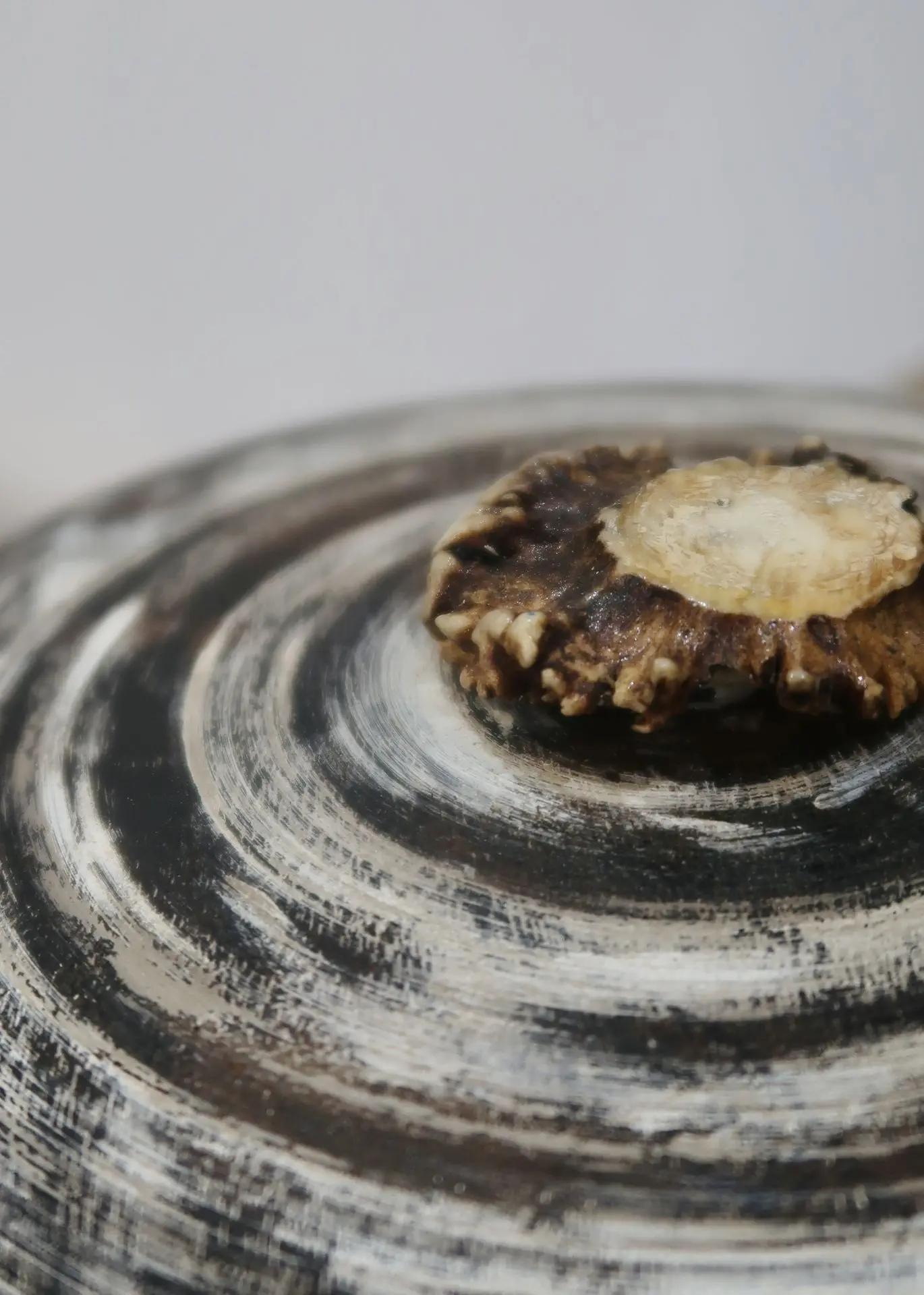 ceramique, boite, le renard, clac, boutique créateurs, saint yrieix la perche